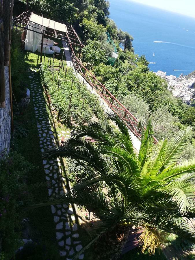 Villa Graziella Positano "A Piece Of Paradise" المظهر الخارجي الصورة